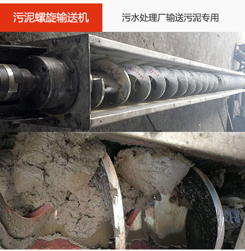 污泥香蕉视频下载地址链接水平/倾斜输送，污水厂输送污泥专用设备。