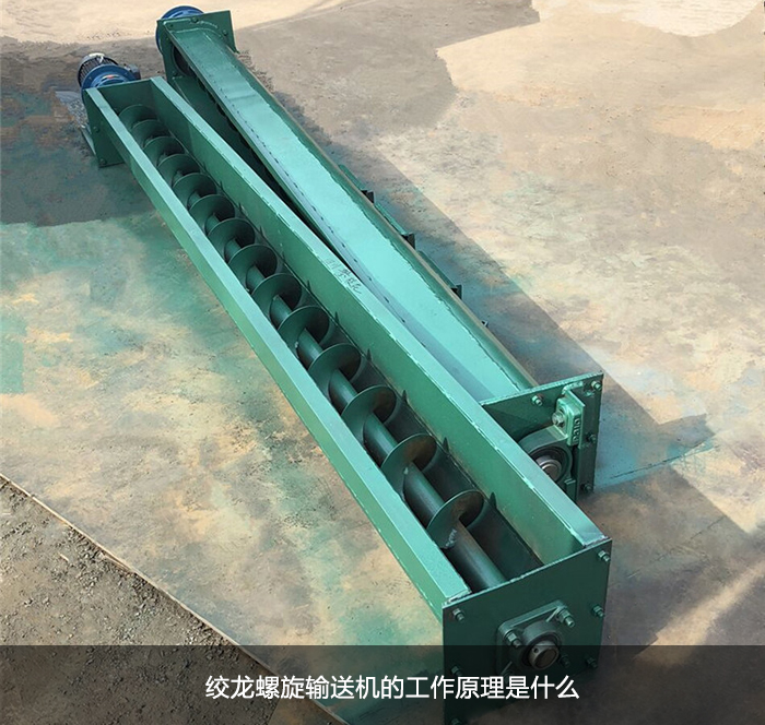 蛟龙香蕉视频下载地址链接图片